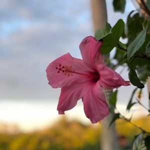 Meet your Posher, Andi